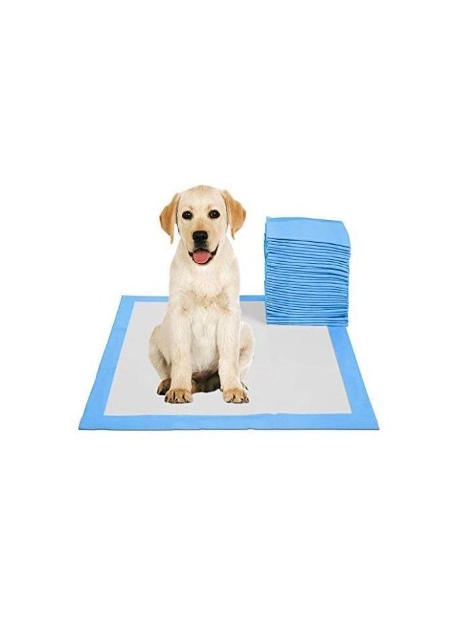 ريلاكس Potty training mat with quick-drying surface, size L 90×60 cm, 30 pieces - Image 4
